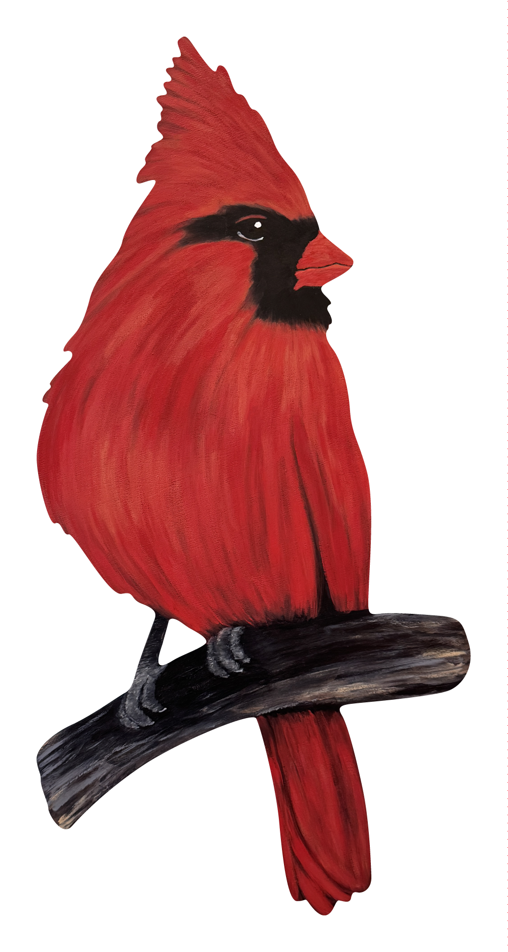 ASHLEY NICOLE DESIGNS RED CARDINAL SITTING ON BRANCH