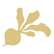 Basic Shape Beets MDF Cutout Floral Silhouette - Unfinished For DIY