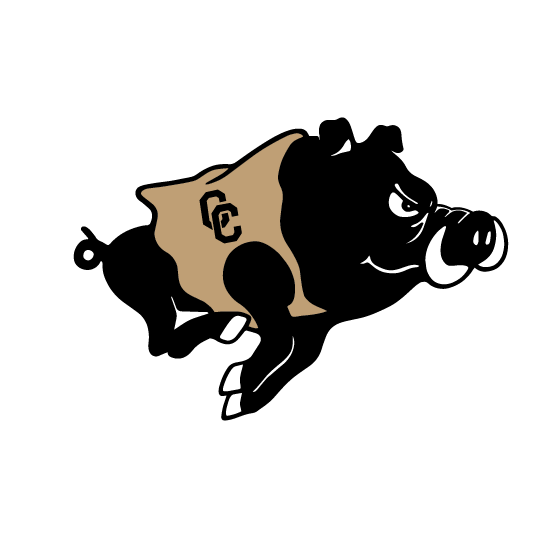 LILY PAD DESIGNS CC HOG LETS GO PACKERS