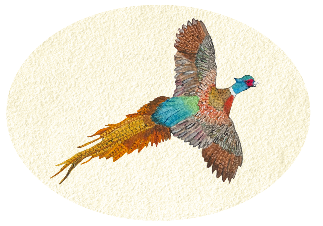 LILY PAD DESIGNS PHEASANT BIRD