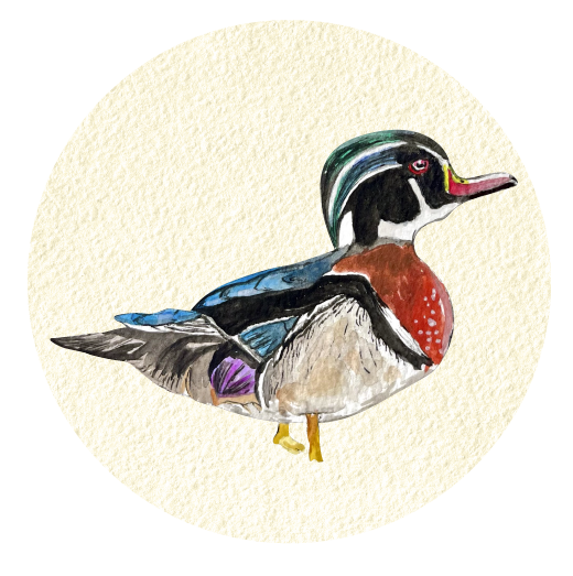 LILY PAD DESIGNS CIRCLE WITH DUCK