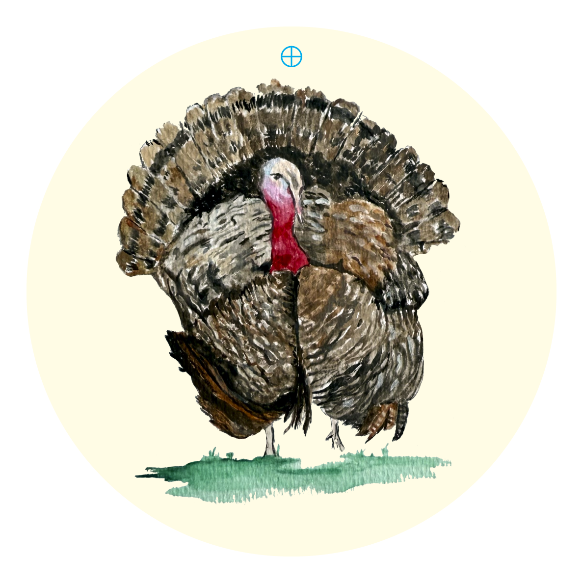 LILY PAD DESIGNS TURKEY
