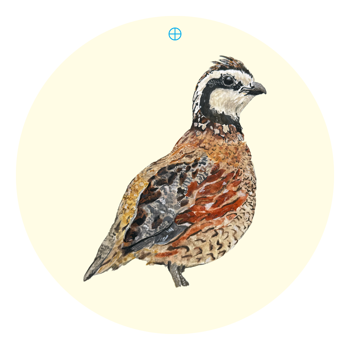 LILY PAD DESIGNS QUAIL