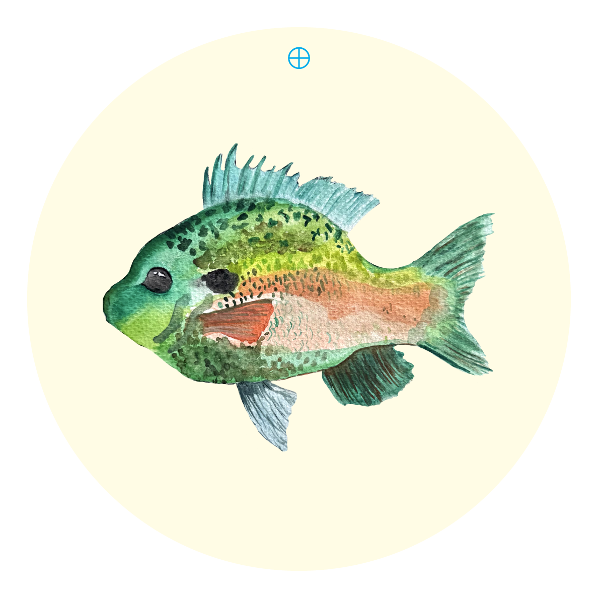 LILY PAD DESIGNS COLORFUL FISH