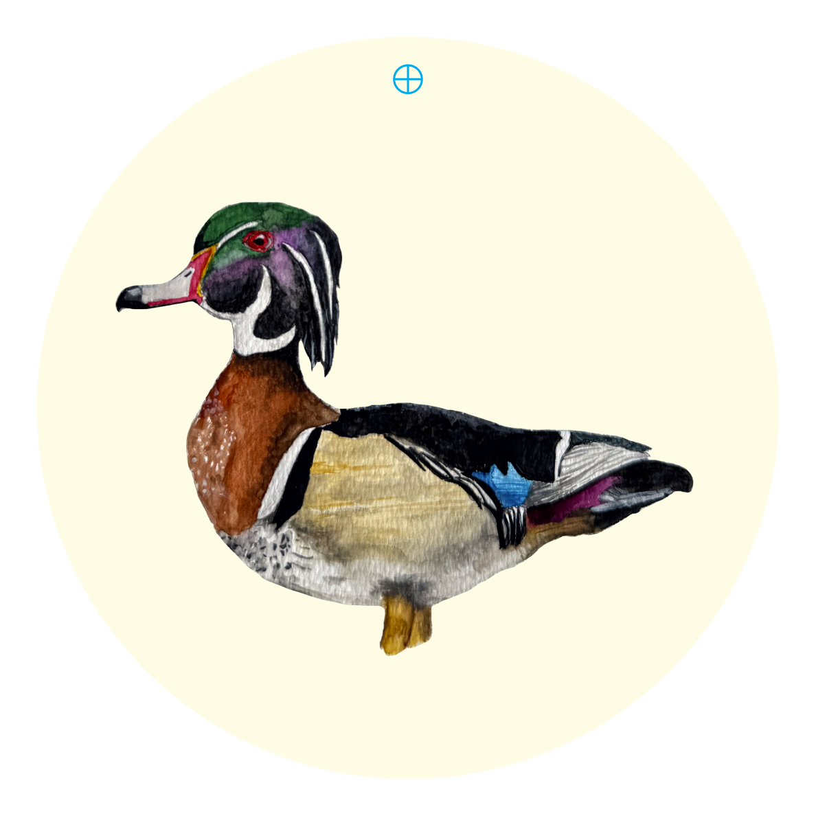 LILY PAD DESIGNS COLORFUL DUCK