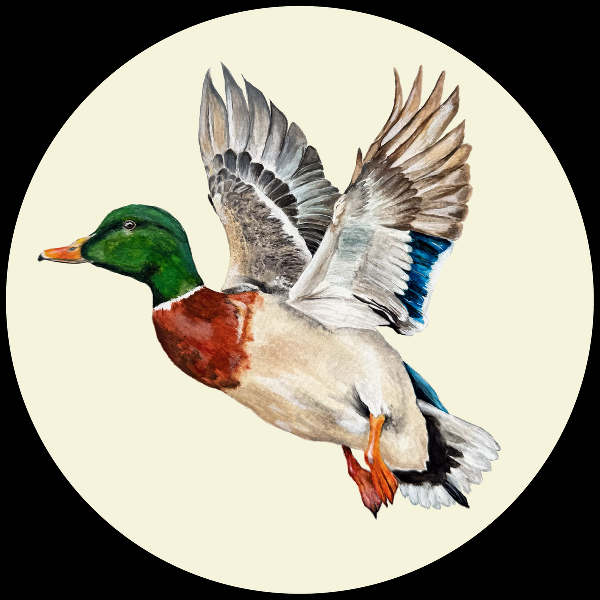 LILY PAD DESIGNS ROUND AND SQUARE FLYING MALLARD
