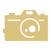 Basic Shape Camera MDF Cutout Silhouette Style 3 - Unfinished For DIY