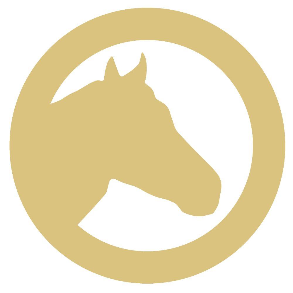 Basic Shape Circle MDF Cutout Horse Head Silhouette - Unfinished For DIY