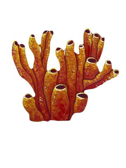 Basic Shape Sea Coral MDF Cutout Silhouette - Unfinished For DIY