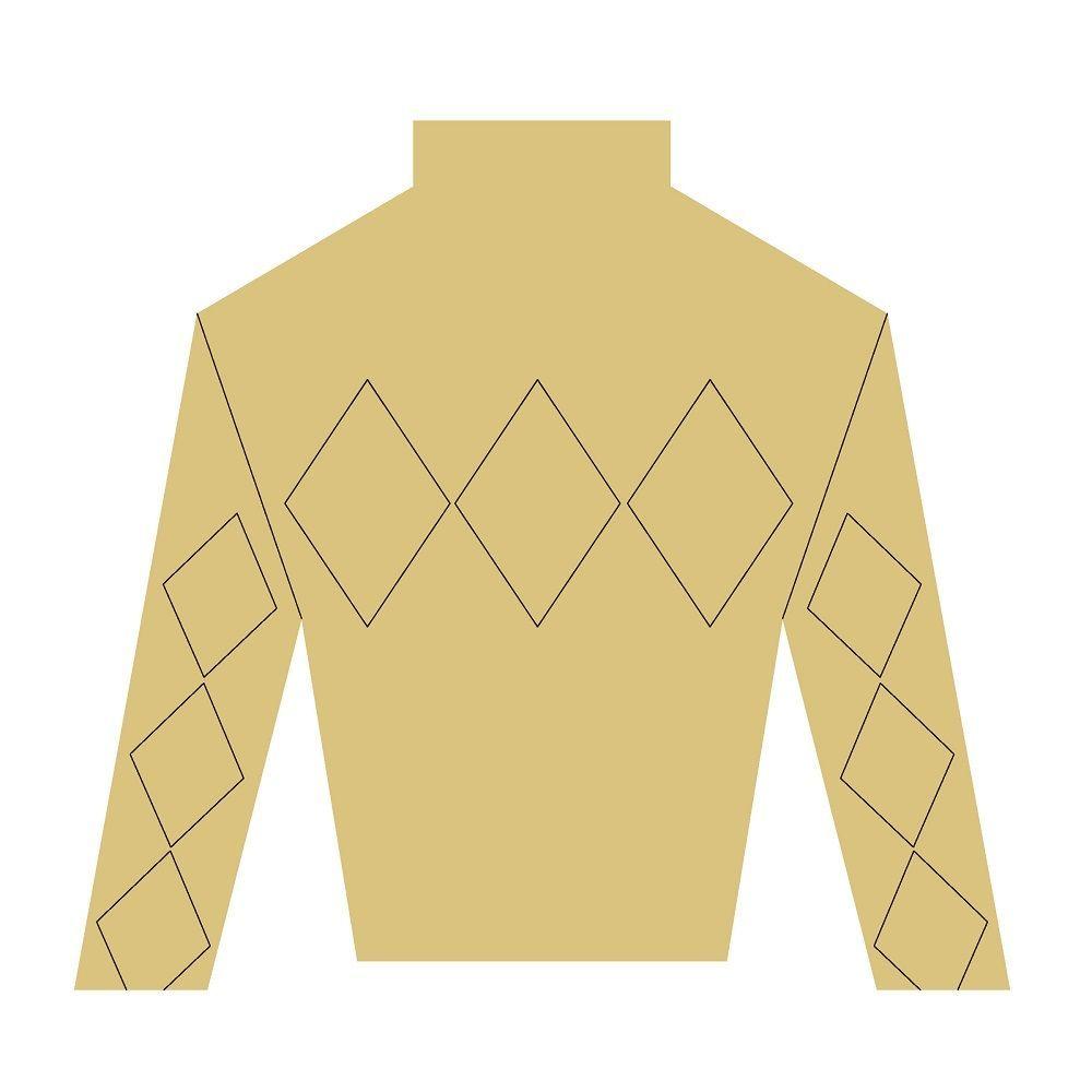 Design By Line Jockey T-Shirt MDF Cutout Argyle Diamond Pattern - Unfinished For DIY