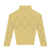 Design By Line Jockey T-Shirt MDF Cutout Argyle Diamond Pattern - Unfinished For DIY