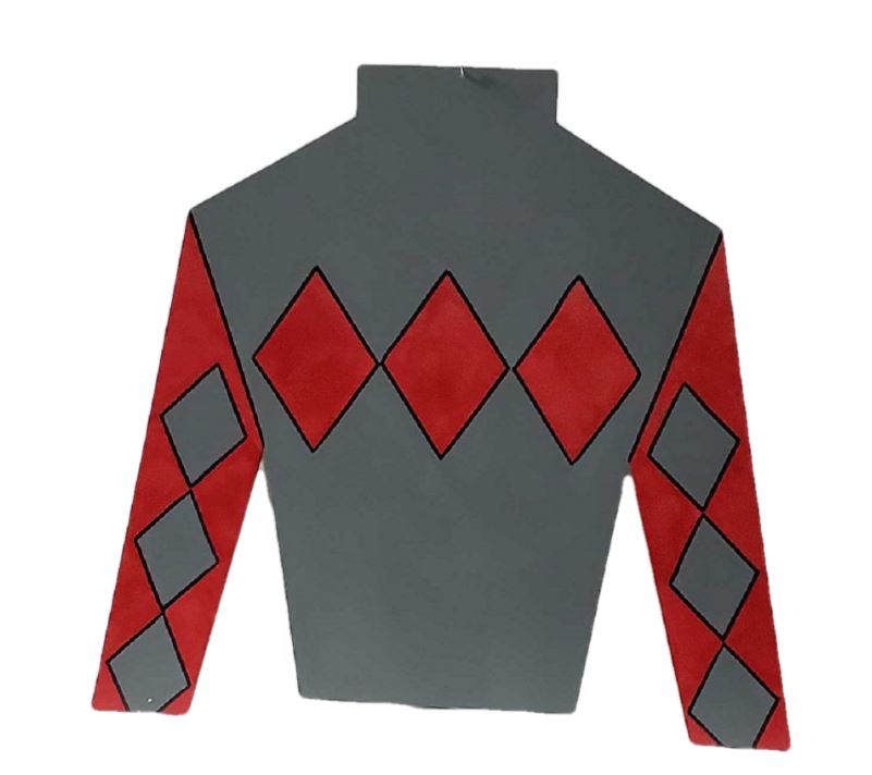 Design By Line Jockey T-Shirt MDF Cutout Argyle Diamond Pattern - Unfinished For DIY