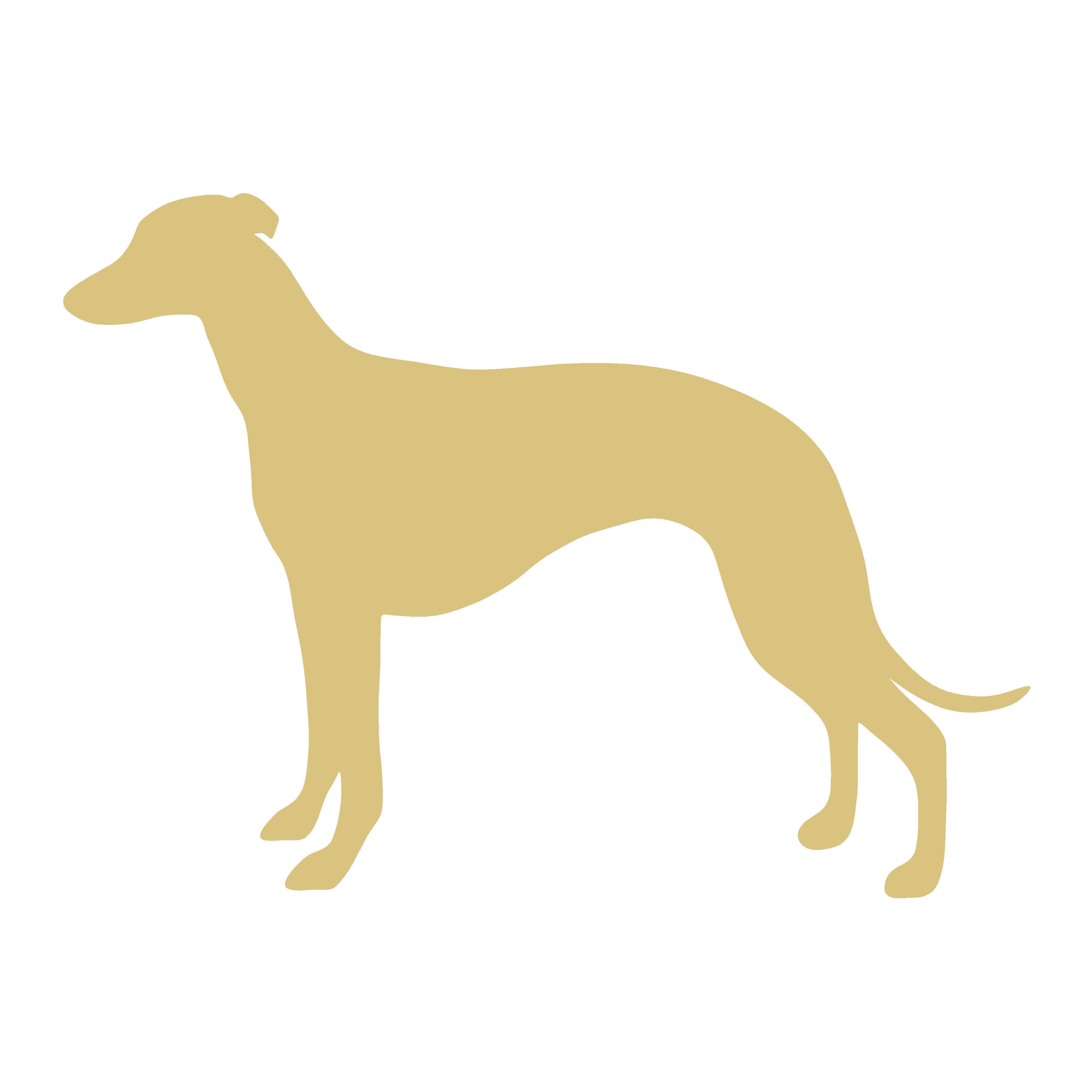 Dog Premium Wooden Craft Cut Outs made from 1/4” MDF – Basic Shapes for DIY Painting, Vinyl, Glitter, and More – Laser Cut Wood Blanks for Door Hangers, Wall Art, and Seasonal Décor – Made in the USA