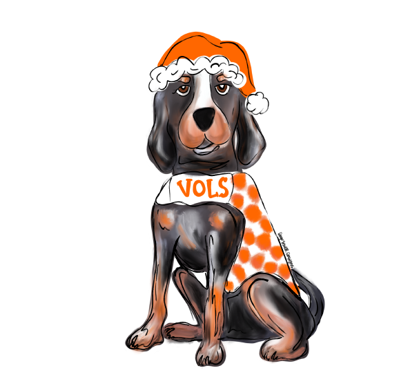 JOHNATHAN STEGALL VOLS DOG