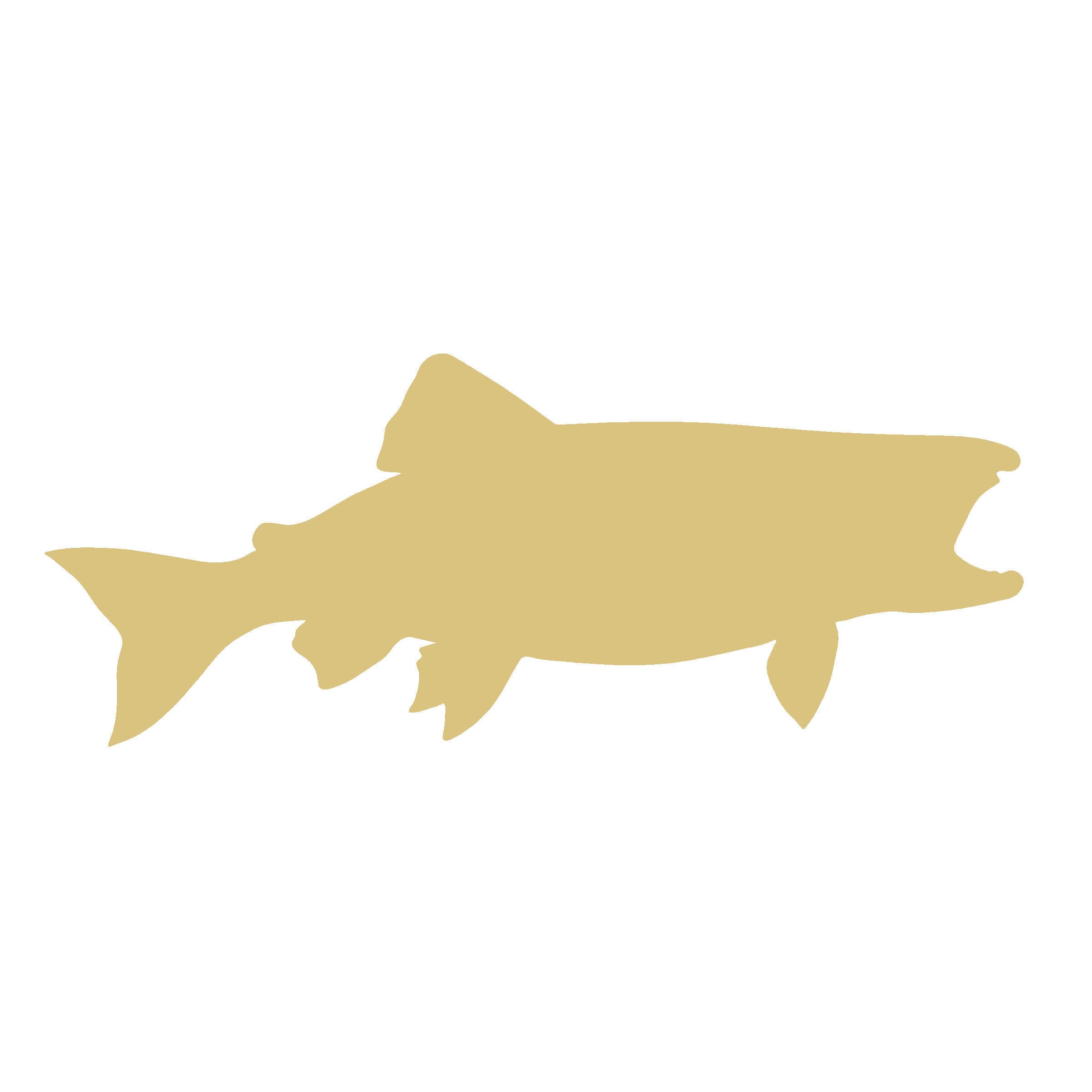 Basic Shape Fish MDF Cutout Silhouette Style 2 - Unfinished For DIY