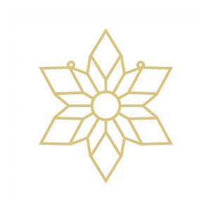 FSG Shapes & Geometric