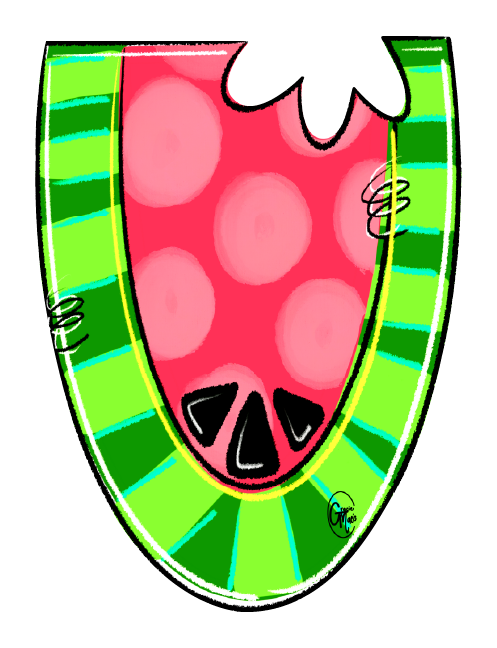 GRACIE MAE GIFTS WATERMELON SLICE