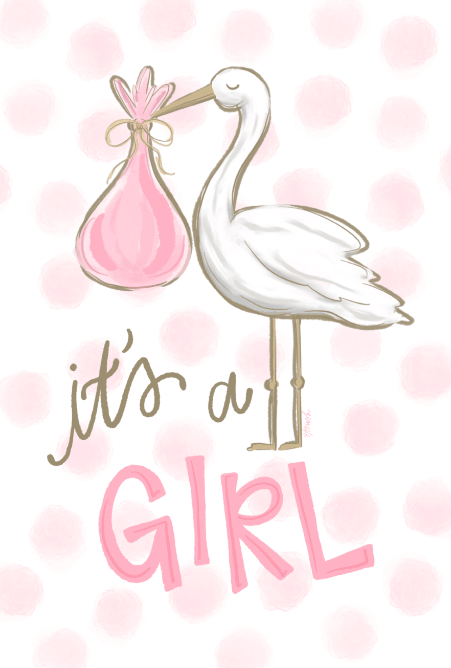 HALEY B DESIGNS ITS A GIRL STORK
