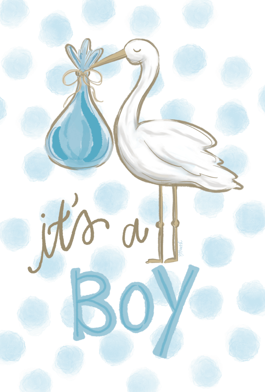 HALEY B DESIGNS ITS A BOY STORK