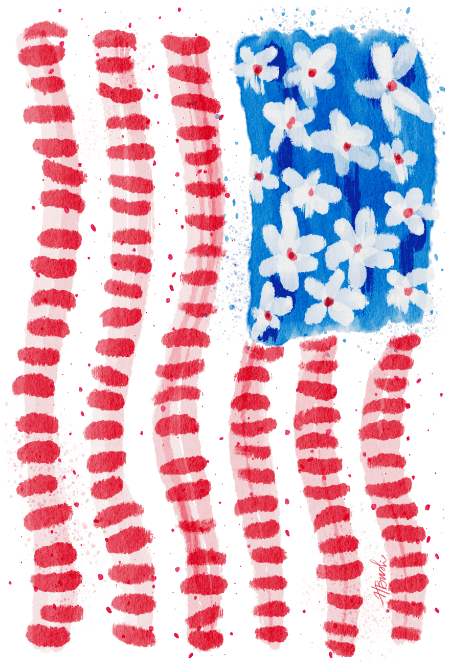 HALEY B DESIGNS USA FLAG WITH FLOWES FOR STARS