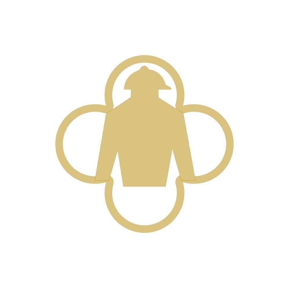 Basic Shape Jockey Silk MDF Cutout Style 1 - Unfinished For DIY