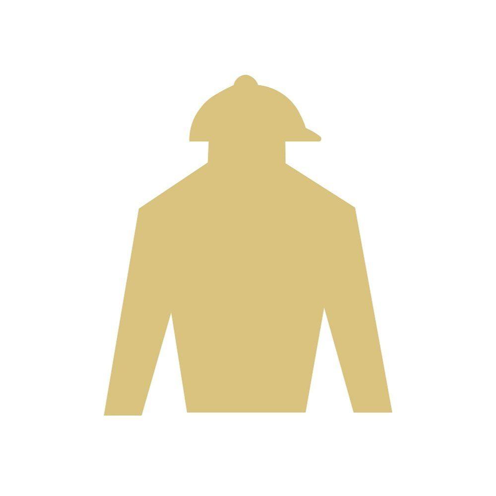 Basic Shape Jockey Silk MDF Cutout Style 2 - Unfinished For DIY