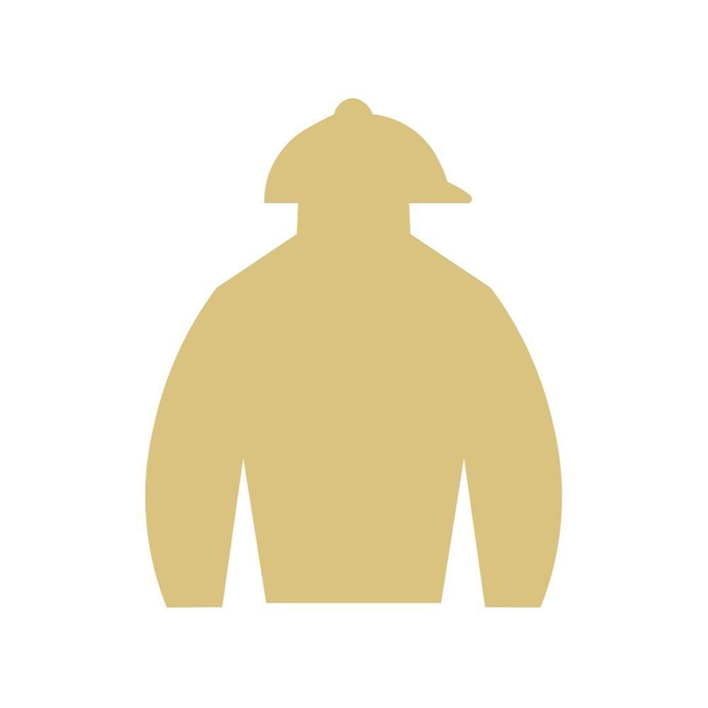 Basic Shape Jockey Silk MDF Cutout Style 3 - Unfinished For DIY