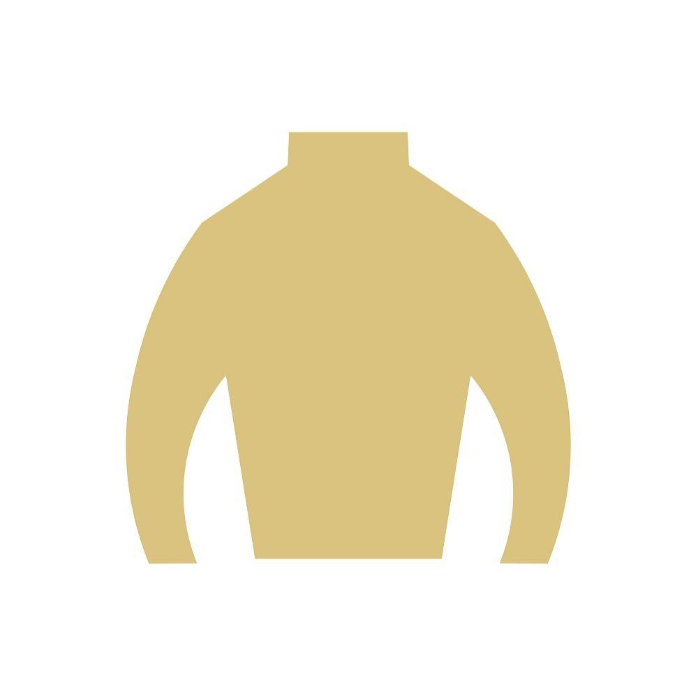 Basic Shape Jockey Silk MDF Cutout Style 4 - Unfinished For DIY