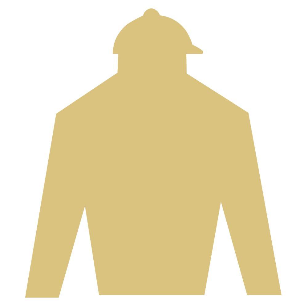 Basic Shape Jockey Silk MDF Cutout Style 5 - Unfinished For DIY