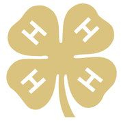 Basic Shape Four Leaf Clover MDF Cutout Four Leaf Clover Pattern With H-Shaped Accents - Unfinished For DIY