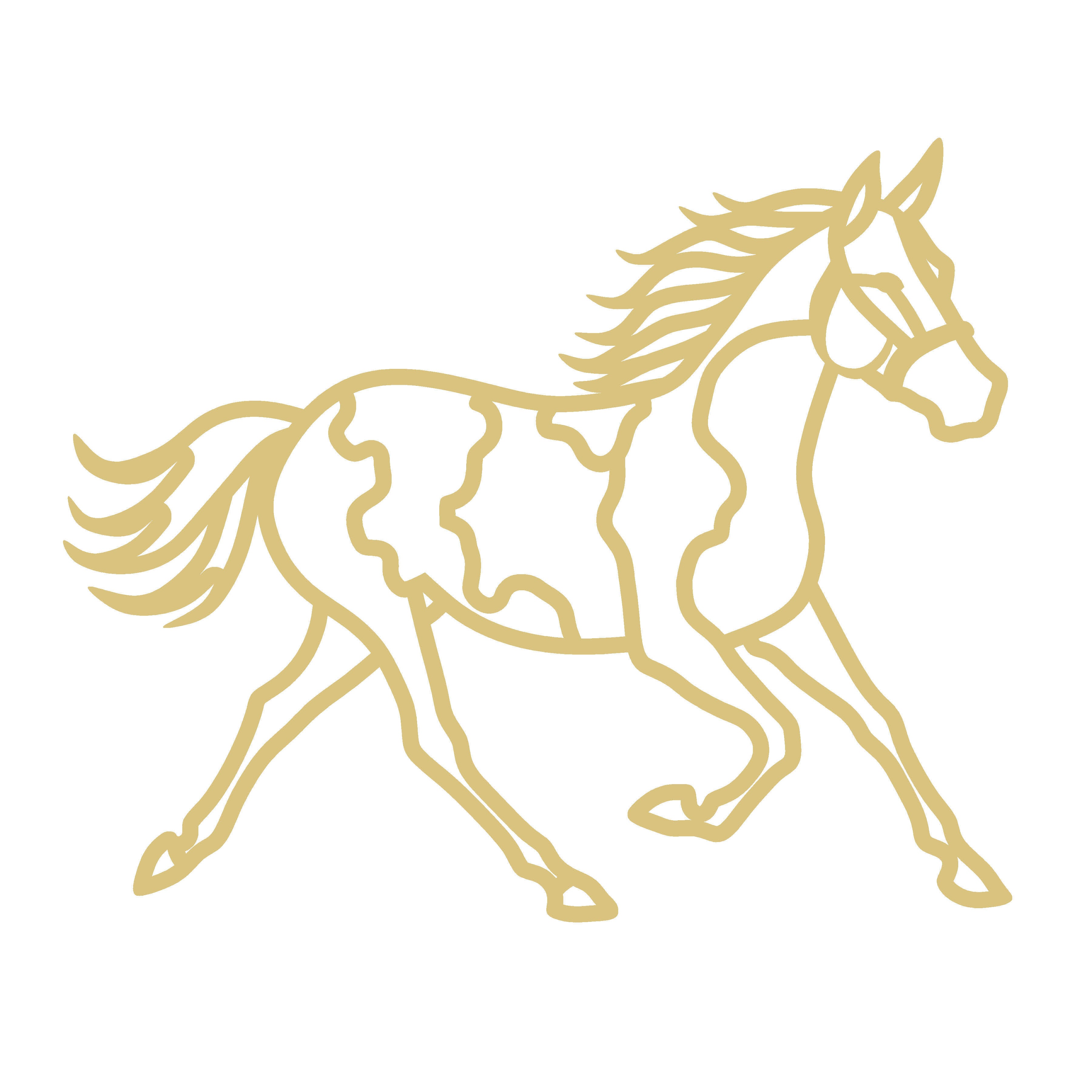 Horse Laser-Cut Faux Stained-Glass Frame Unfinished MDF Wood– Open Frame Craft Blank for Resin, Crushed Glass & Mixed Media Art | Made in the USA by Diverse Woodworking