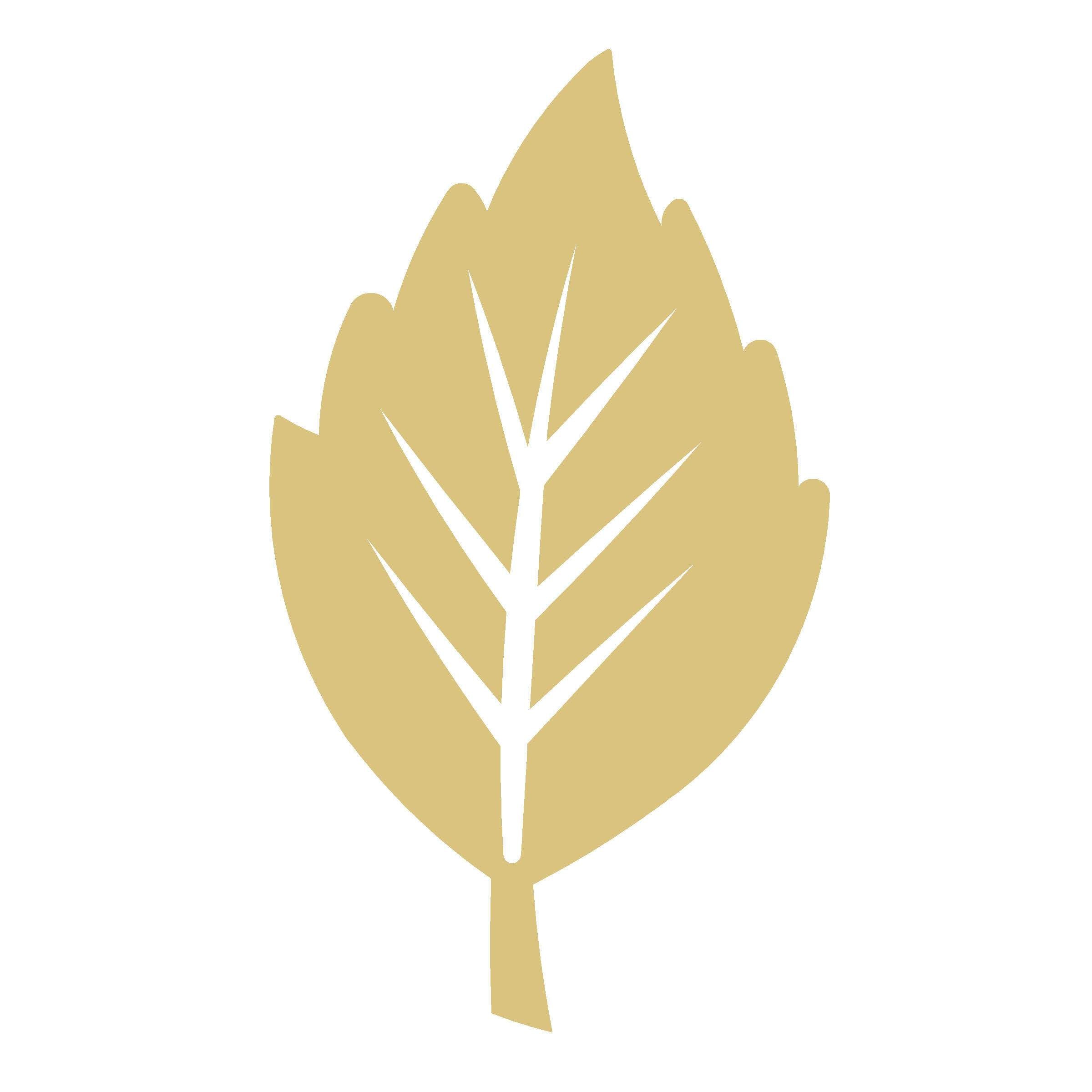 Basic Shape Leaf MDF Cutout Veined Leaf Silhouette - Unfinished For DIY