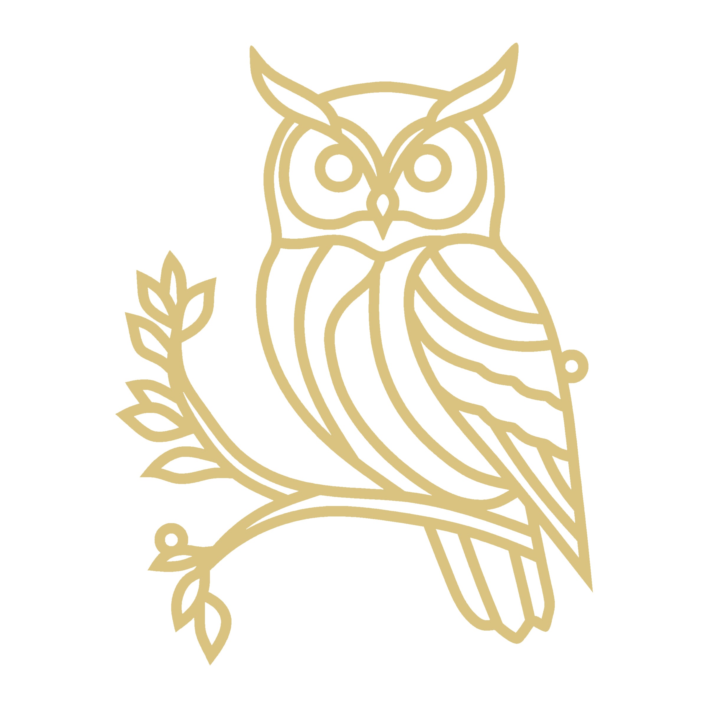 Faux Stained Glass Owl MDF Cutout Frame - Unfinished For DIY