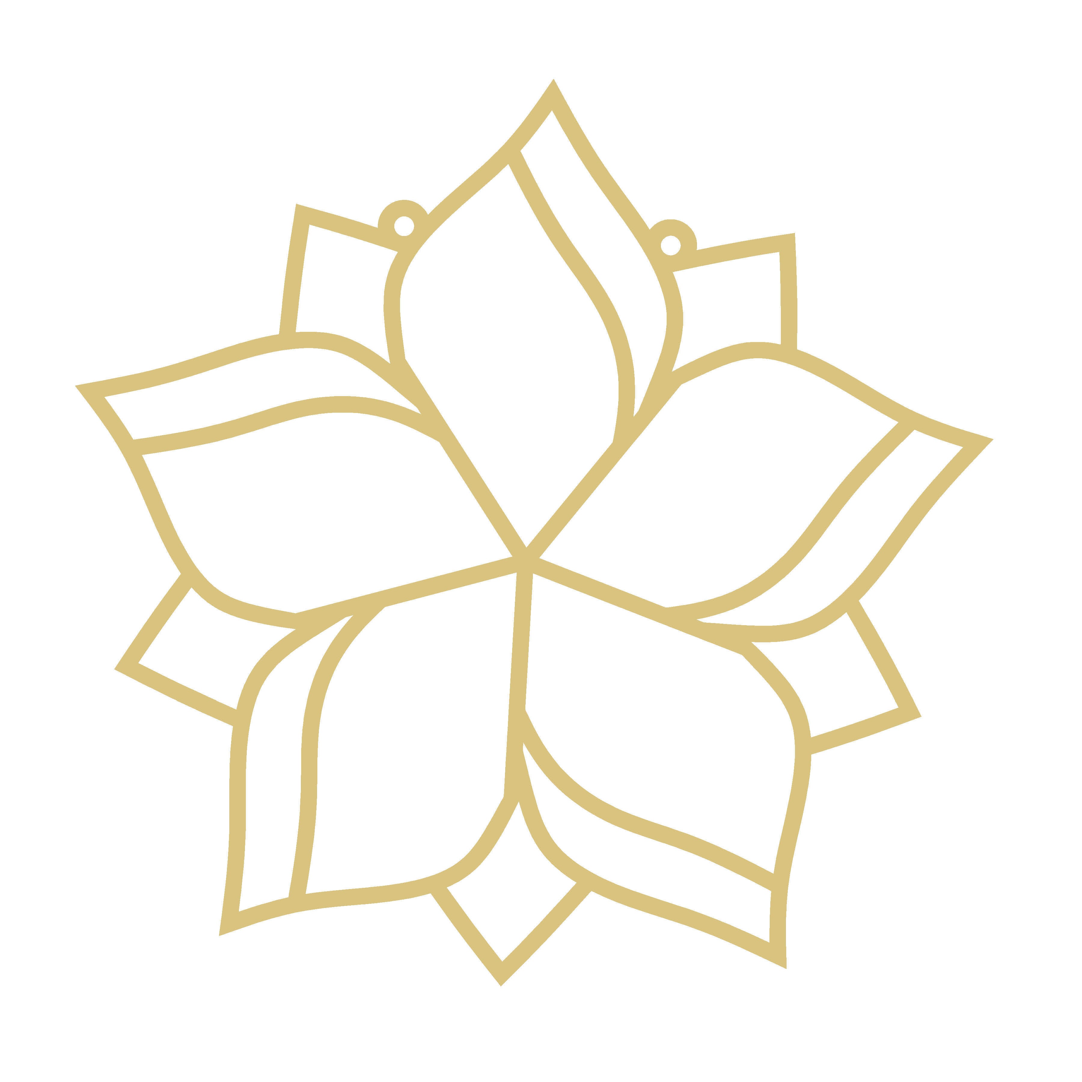 Poinsettia Laser-Cut Faux Stained-Glass Frame Unfinished MDF Wood– Open Frame Craft Blank for Resin, Crushed Glass & Mixed Media Art | Made in the USA by Diverse Woodworking