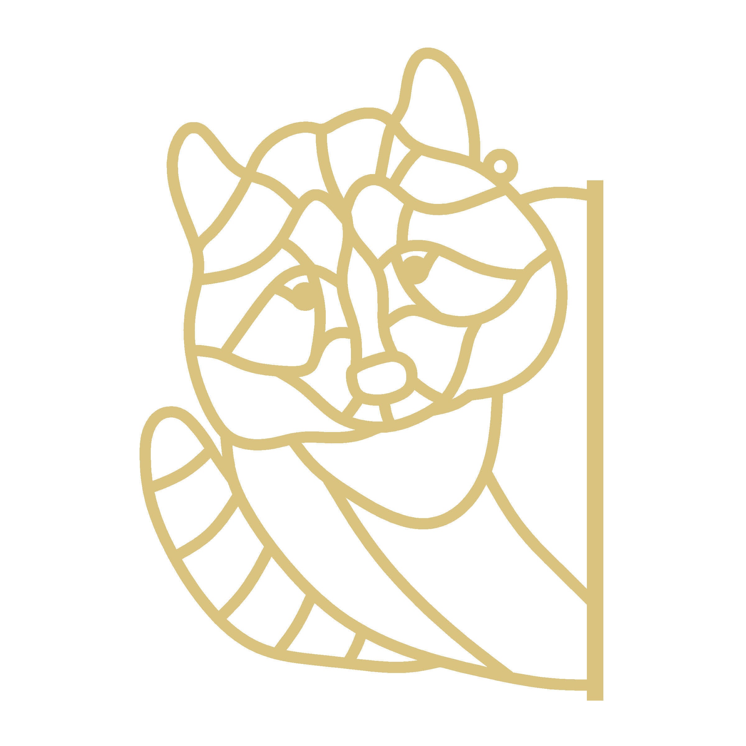 Faux Stained Glass Racoon MDF Cutout Frame - Unfinished For DIY