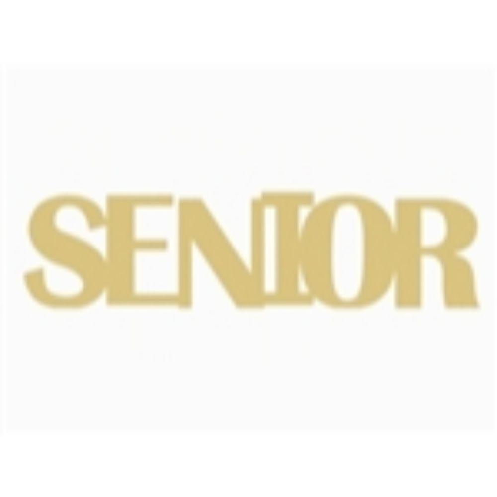 Basic Shape Word MDF Cutout Senior Style 1 - Unfinished For DIY