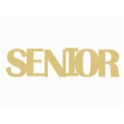 Basic Shape Word MDF Cutout Senior Style 1 - Unfinished For DIY