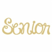 Basic Shape Word MDF Cutout Script Senior Style 2 - Unfinished For DIY