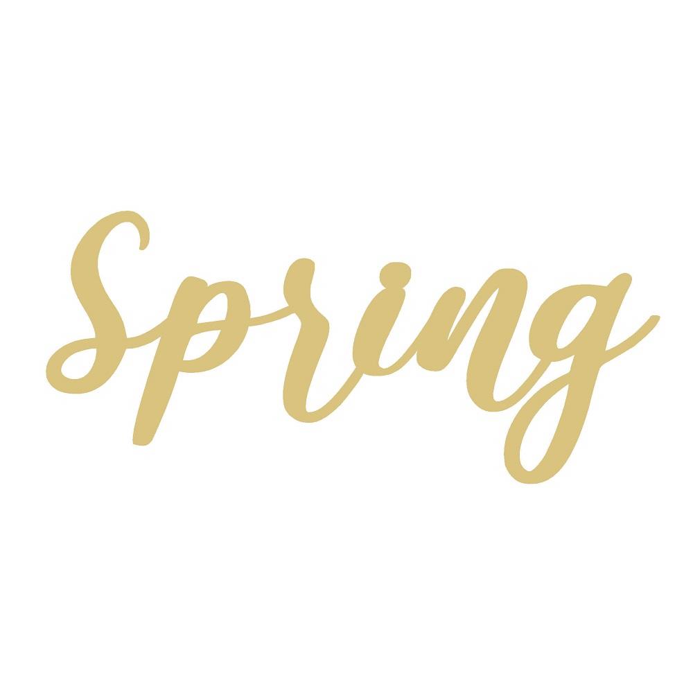 Basic Shape Word MDF Cutout Script Spring - Unfinished For DIY