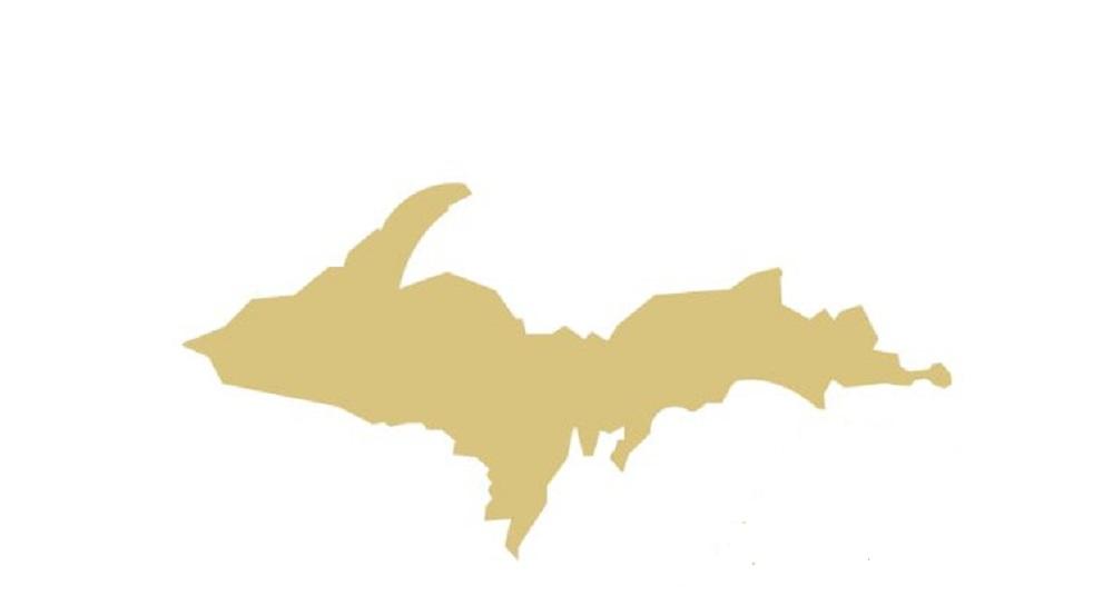 Basic Shape MDF Cutout Michigan State Silhouette - Unfinished For DIY