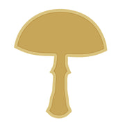 Mold Mushroom MDF Cutout – Flat Design, Unfinished Craft Blank for DIY