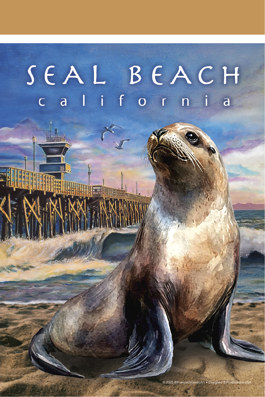 ORLANDO CREATIVE SEAL BEACH OCEAN WITH SEAL