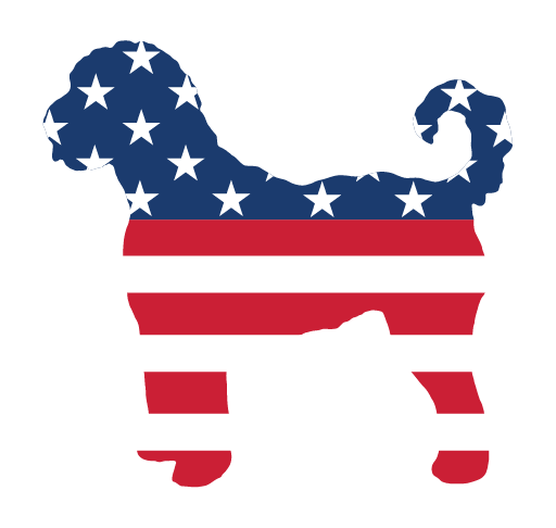 PIPPA BLU DESIGNS AMERICAN FLAG DOODLE