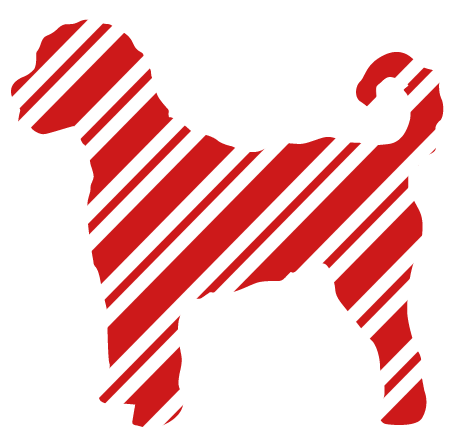 PIPPA BLU DESIGNS RED AND WHITE STRIPED GOLDEN DOODLE