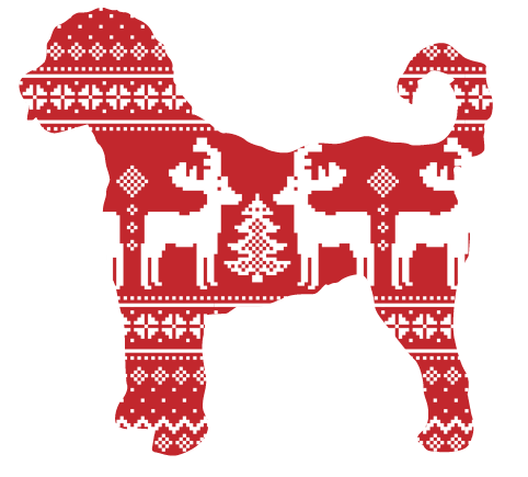 PIPPA BLU DESIGNS RED DOODLE WITH SWEATER DESIGN