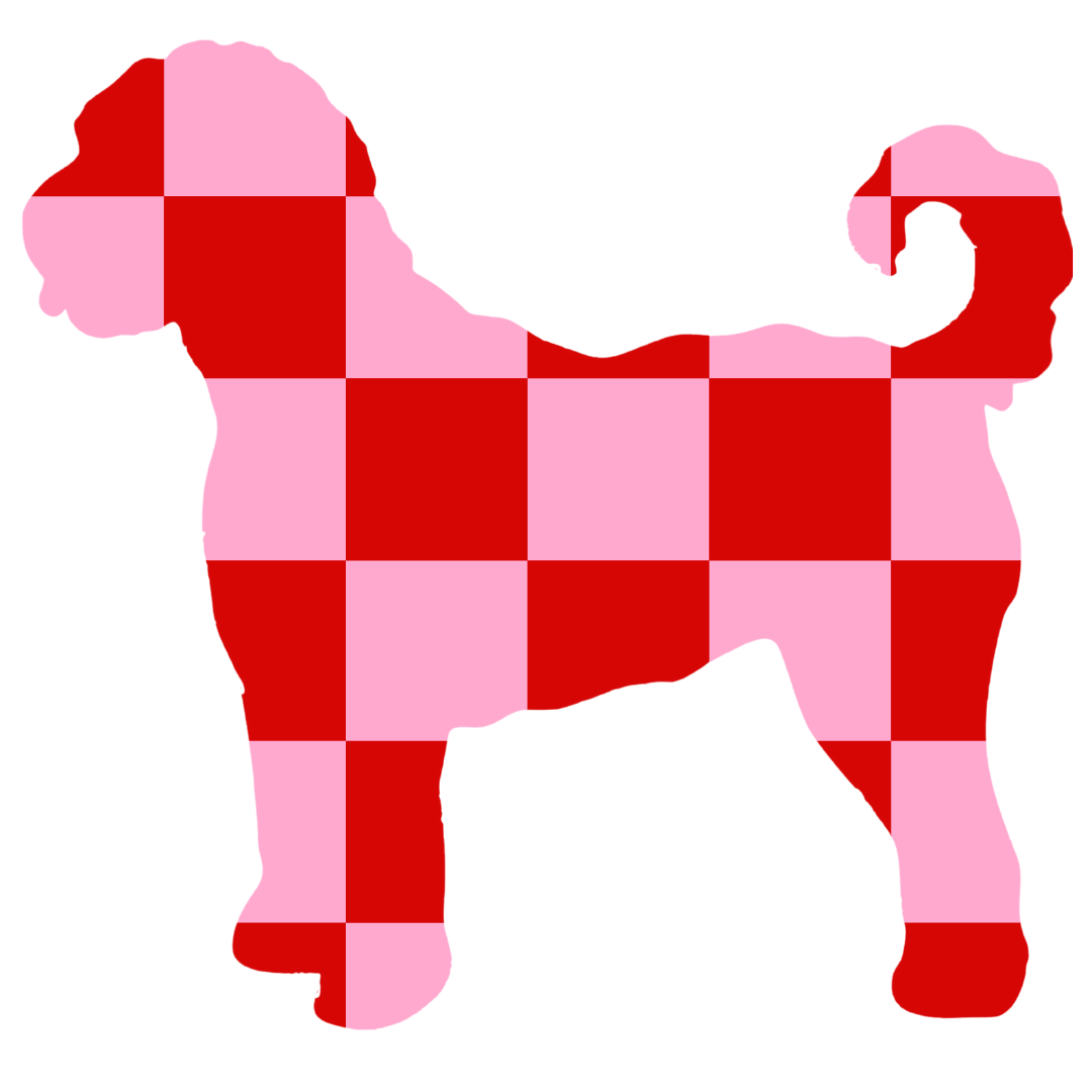 PIPPA BLU DESIGNS PINK AND RED CHECKERED DOODLE