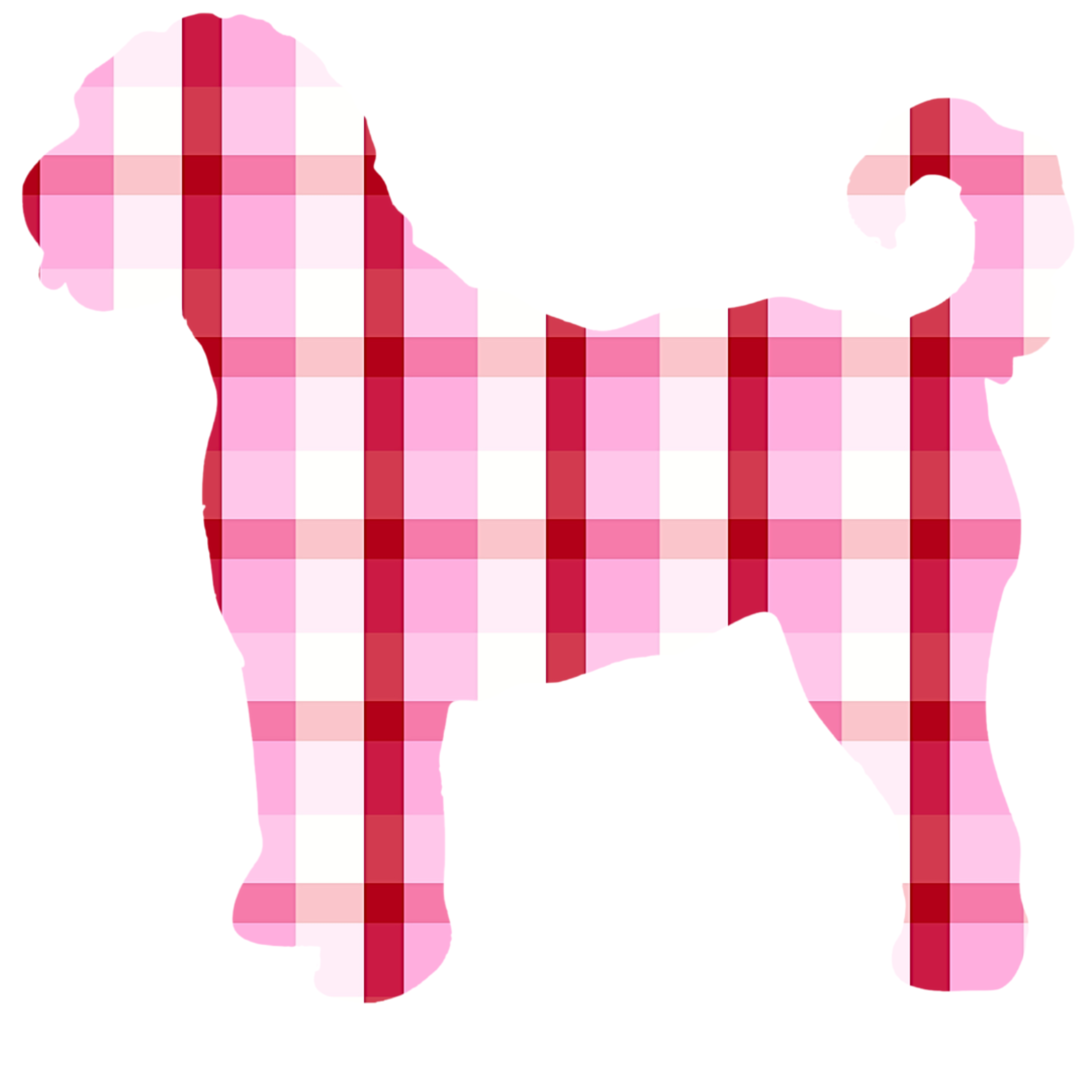 PIPPA BLU DESIGNS PINK, WHITE AND RED CHECKERED DOODLE