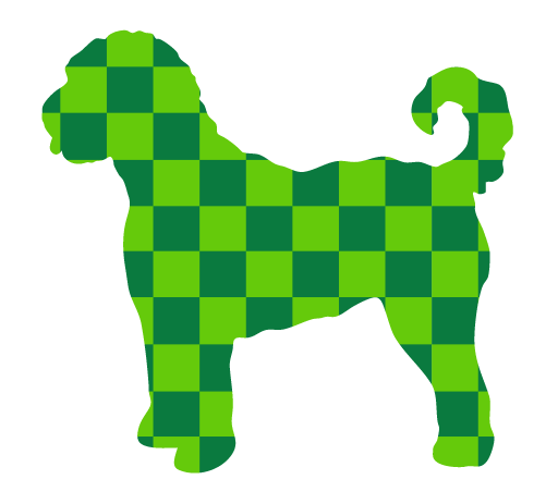 PIPPA BLU DESIGNS GREEN CHECKERED DOODLE
