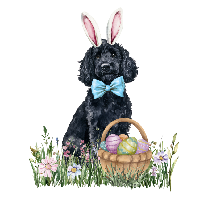 PIPPA BLU DESIGNS BLACK DOODLE WITH BASKET