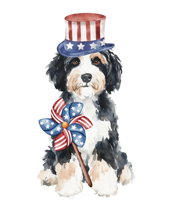 PIPPA BLU DESIGNS PATRIOTIC BERNADOODLE